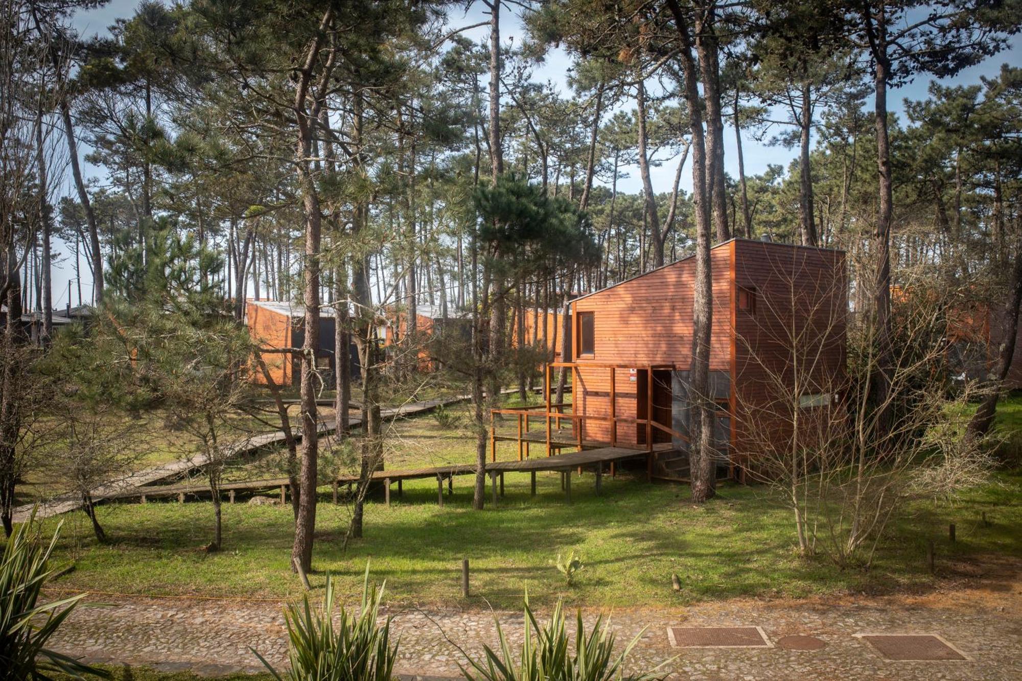 Bungalow B2 - Nature, Beach & River Ofir Eksteriør billede