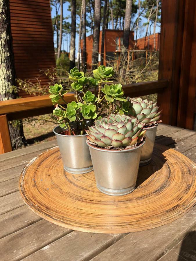Bungalow B2 - Nature, Beach & River Ofir Eksteriør billede