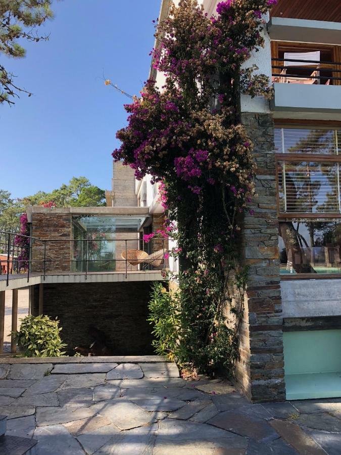 Bungalow B2 - Nature, Beach & River Ofir Eksteriør billede