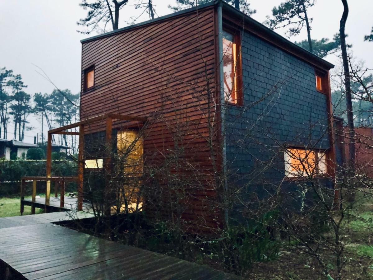 Bungalow B2 - Nature, Beach & River Ofir Eksteriør billede