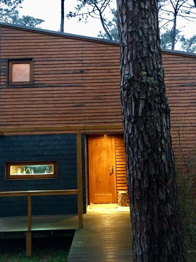 Bungalow B2 - Nature, Beach & River Ofir Eksteriør billede