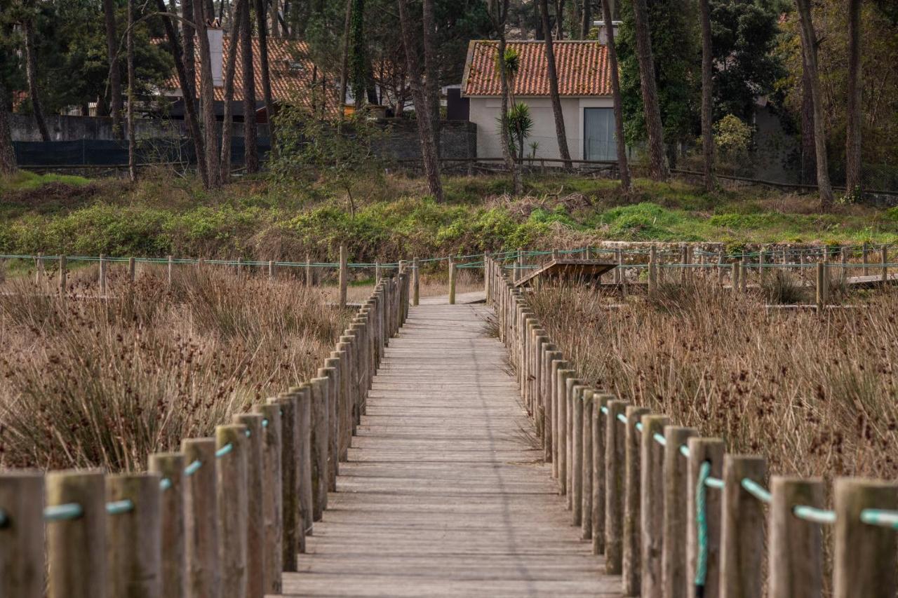 Bungalow B2 - Nature, Beach & River Ofir Eksteriør billede